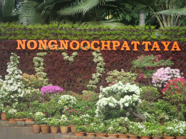 nong nooch 098.jpg