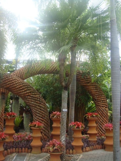 nong nooch 094.jpg