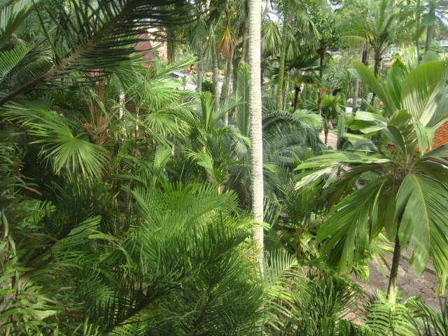 nong nooch 107.jpg