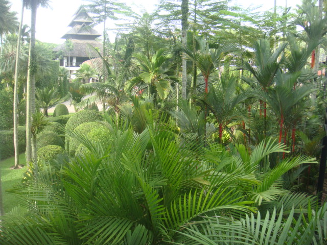 nong nooch 108.jpg