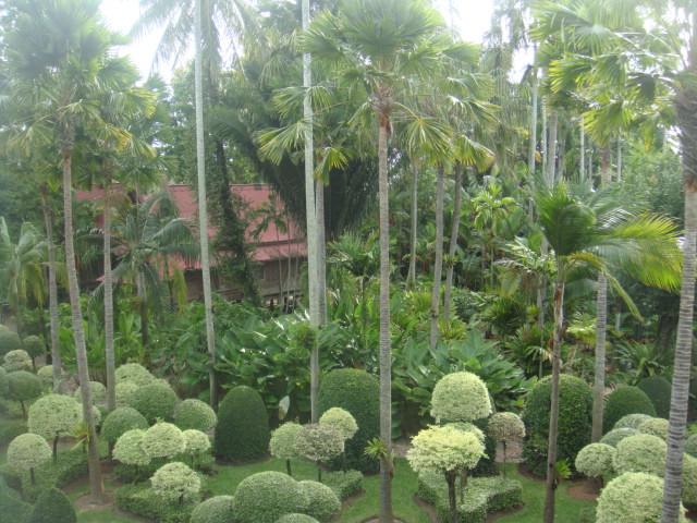 nong nooch 112.jpg