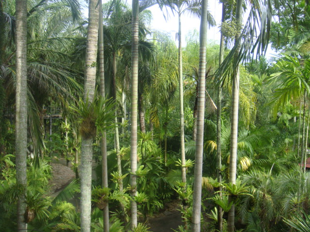 nong nooch 114.jpg