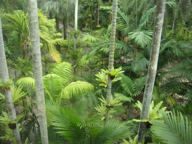 nong nooch 115.jpg