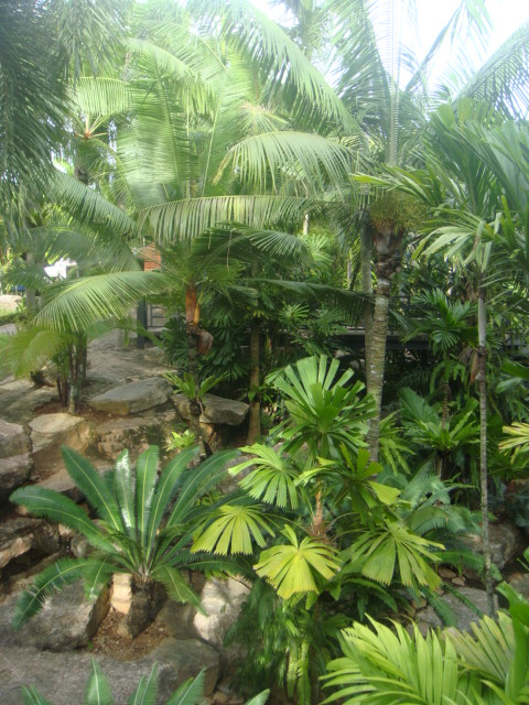 nong nooch 117.jpg