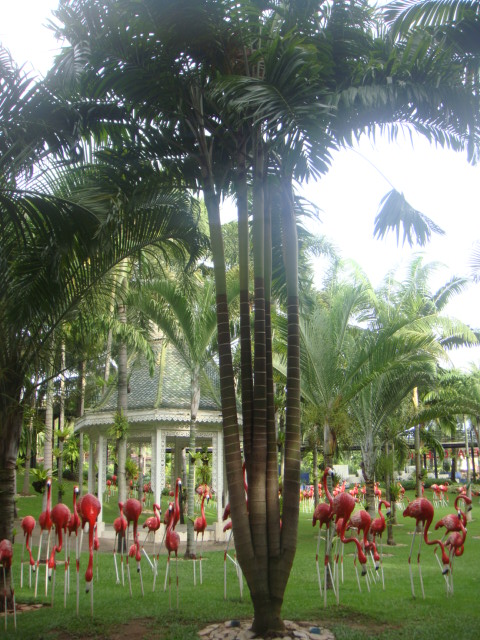 nong nooch 128.jpg