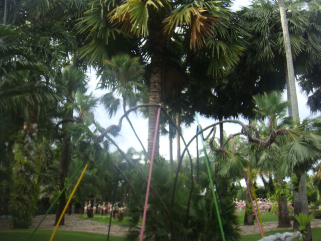 nong nooch 129.jpg