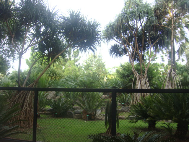 nong nooch 133.jpg