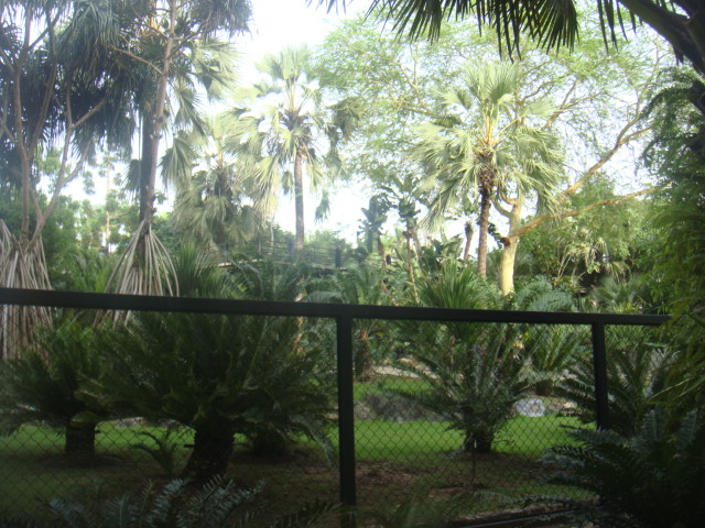 nong nooch 134.jpg