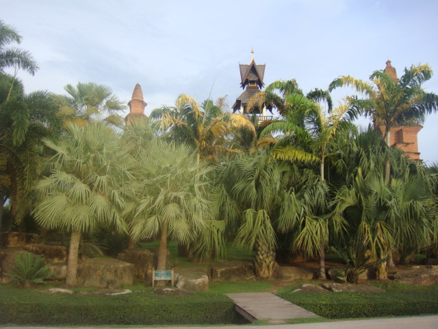 nong nooch 175.jpg