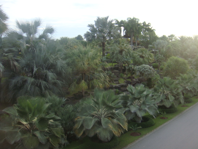 nong nooch 176.jpg