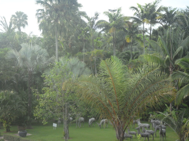 nong nooch 178.jpg