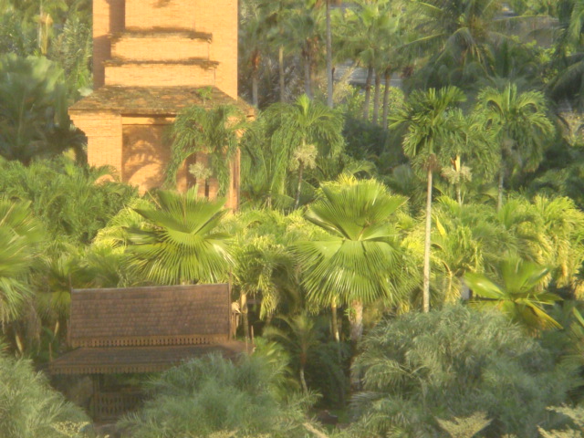 nong nooch 185.jpg