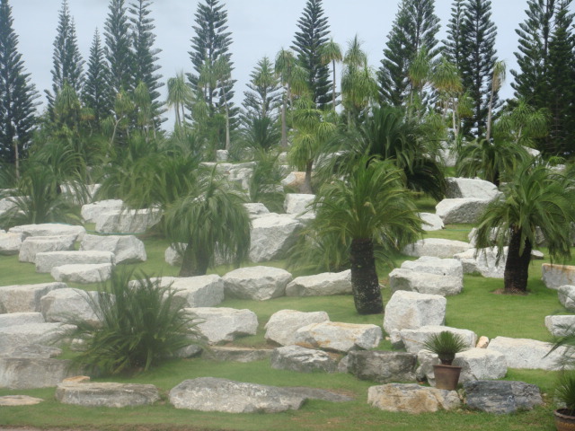 nong nooch 204.jpg