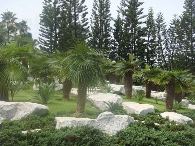 nong nooch 205.jpg