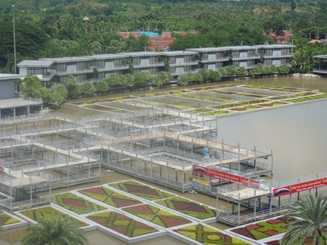 nong nooch 213.jpg