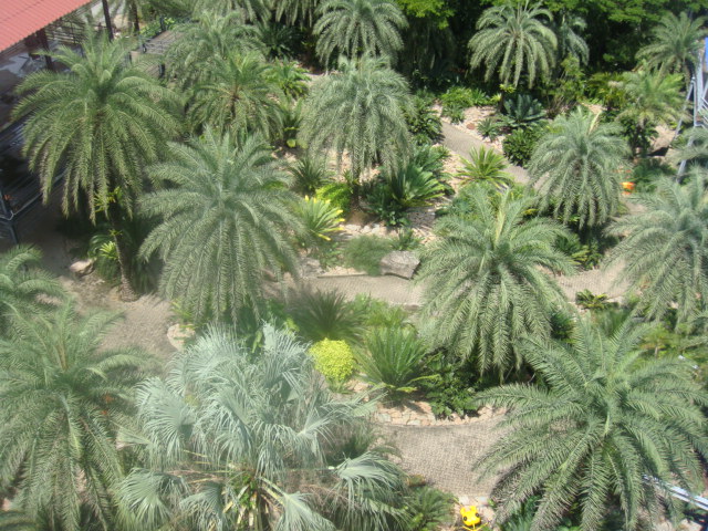 nong nooch 214.jpg
