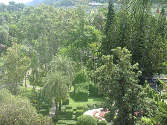 nong nooch 218.jpg