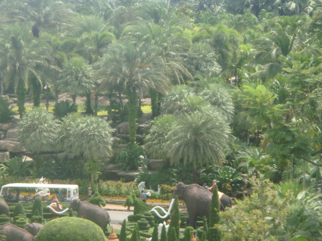 nong nooch 219.jpg