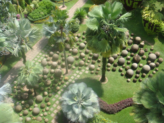 nong nooch 220.jpg
