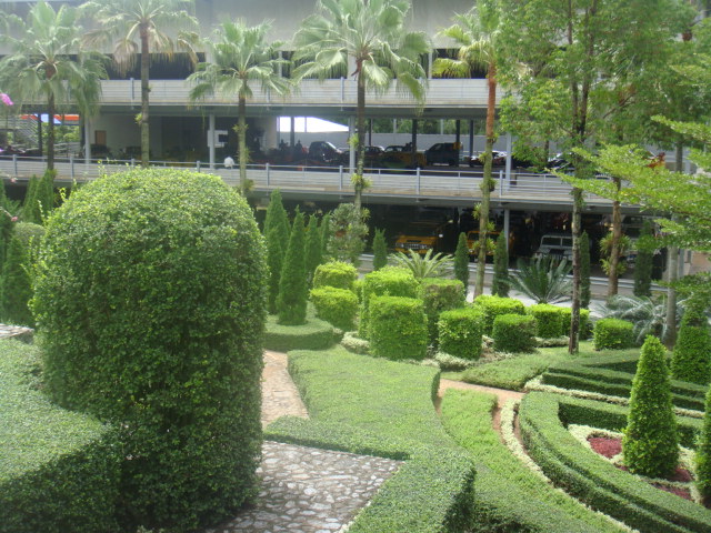 nong nooch 224.jpg