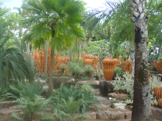 nong nooch 271.jpg