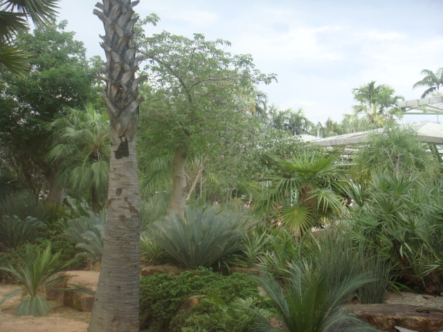 nong nooch 272.jpg
