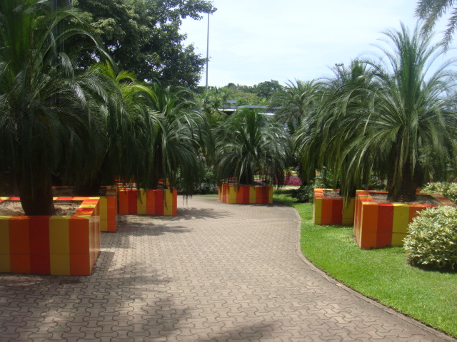 nong nooch 413.jpg