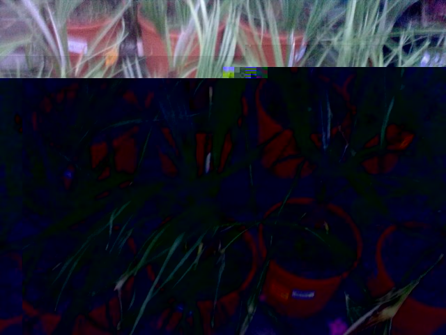 31102009886 [].jpg