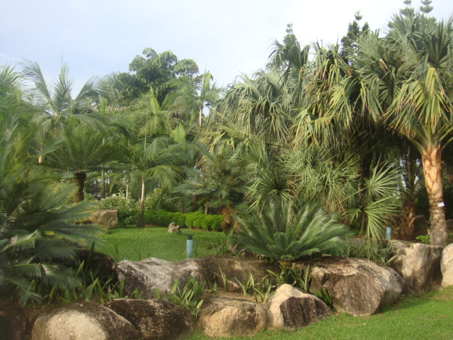 nong nooch 153.jpg
