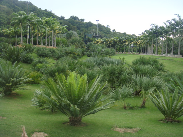 nong nooch 364.jpg