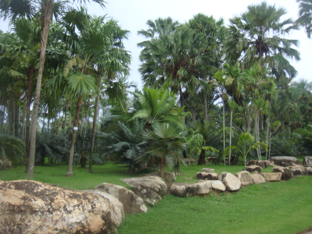 nong nooch 383.jpg