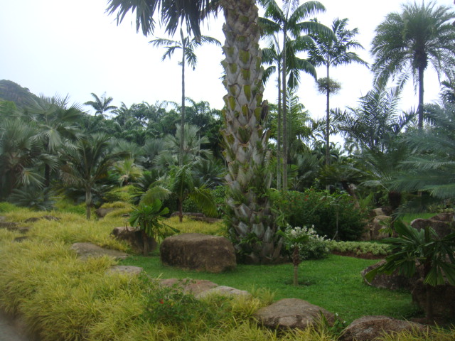 nong nooch 397.jpg