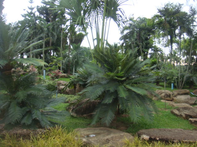 nong nooch 398.jpg