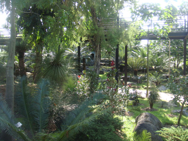 nong nooch 428.jpg
