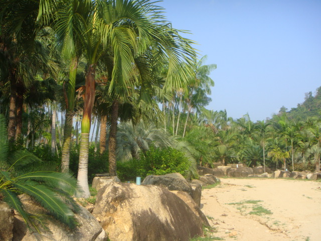 thailande 2010 093.jpg