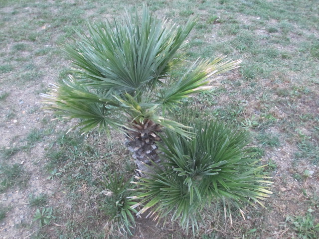 octobre 2012 020.jpg