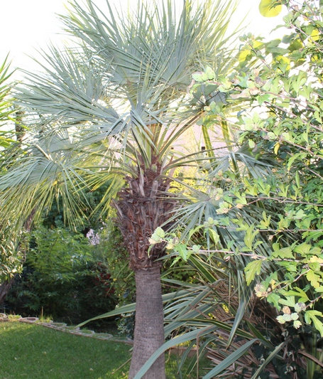 IMG_4700.JPG