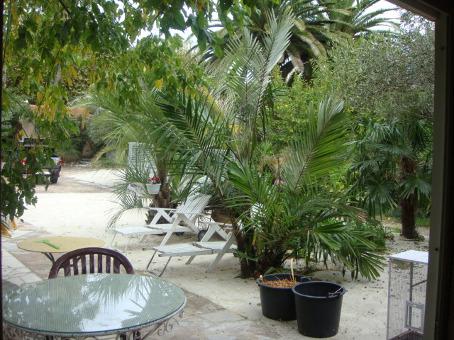 villa caryota 024.jpg