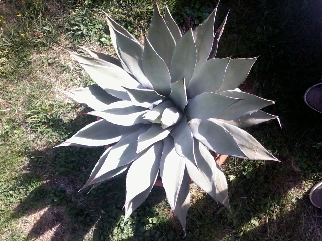 2012-10-20 14.25.10.jpg