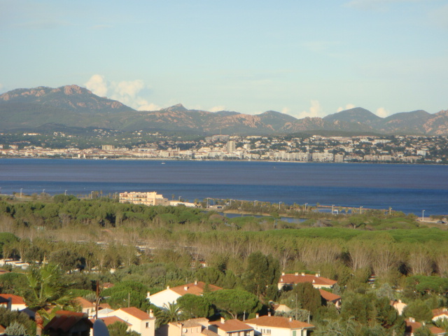 villa caryota 053.jpg