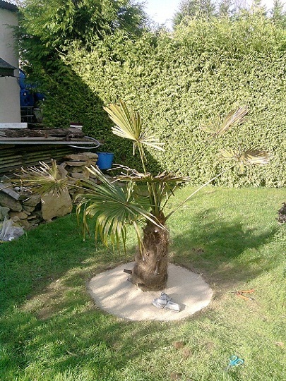 P301012_14.47.jpg