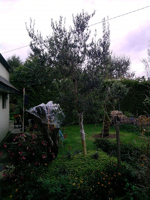 P281012_14.23.jpg