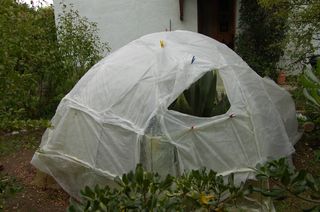 fenêtre au sud