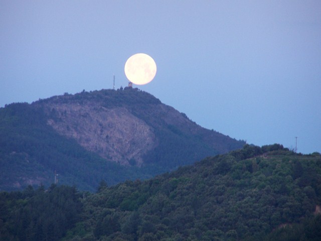 100_3632 (Copier).JPG