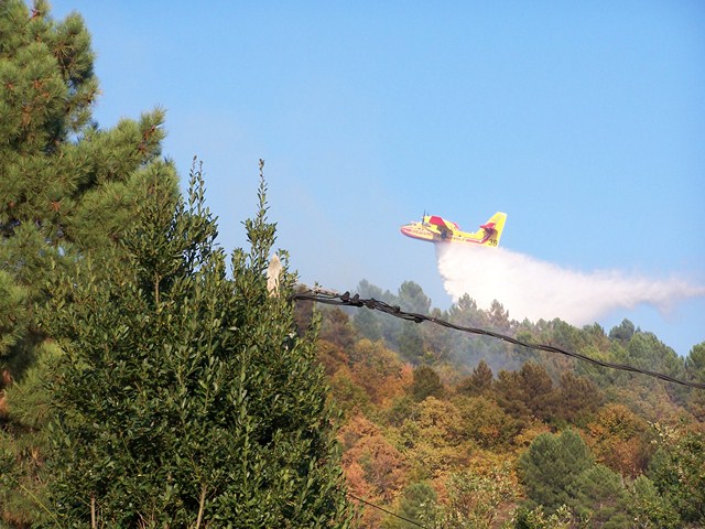 100_3862 (Copier).JPG