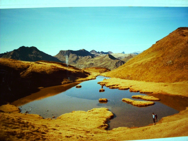 HPIM1144.JPG