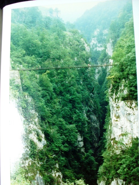 HPIM1148.JPG
