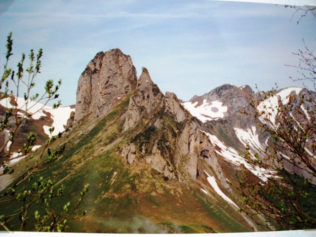 HPIM1172.JPG