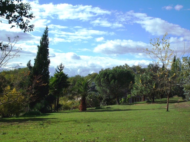 HPIM1120.JPG