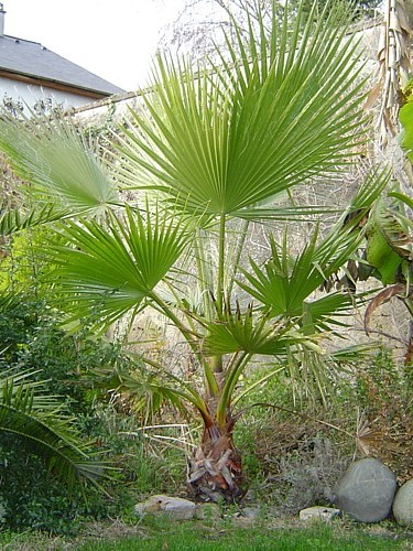 005.Décembre 2004.JPG